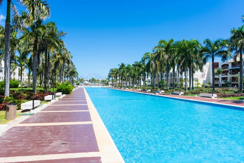 Sunny hotel resort pool lined with palm trees